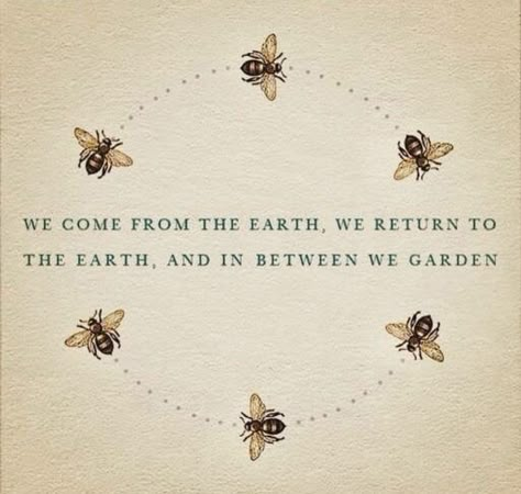 Bumble Bees, Garden Quotes, Cycle Of Life, Bee Art, Save The Bees, Bee Happy, Nature Quotes, Queen Bees, Bee Keeping