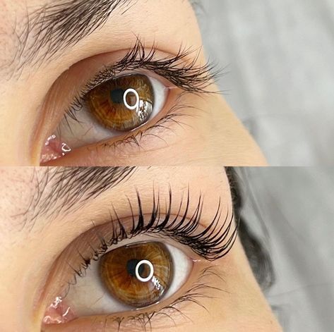 Elevate your lashes with a lift and tint. ✨ Enhance your natural beauty and save time on your morning routine with a lash lift and tint. Our expert estheticians will give your lashes a longer, fuller, and more curled appearance. Book your appointment today and enjoy luscious, lifted lashes. 🏣Prerequisite Beauty 👩‍⚕️Apryle Denise, MBA LE 📍Livonia, MI 🌐www.PrerequisiteBeauty.com 📲(313)912-8702 #PrerequisiteBeauty #LashLift #LashTint #Lashes #Beauty #EyeEnhancement Lash Lift Natural, Lash Lift And Tint Before And After, Lash Tint And Lift, Lifted Lashes, Lash Lift And Tint, Eyelash Lift And Tint, Lash Tint, Eyelash Lift, Lashes Beauty