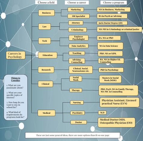 Career Paths | UC Psych Psychologist Career Path, Career Counseling Quotes, Psychology Jobs Career, Career Paths Ideas, Psychology Career Paths, Bachelors In Psychology, Careers In Psychology, Career Psychology, Psych Notes