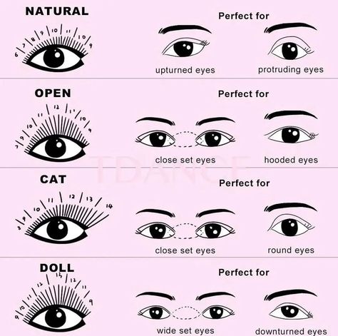 Eyelash Extensions For Different Eye Shapes, Different Lash Extension Maps, Eye Shapes And Lash Extensions, Eye Shape And Lash Extension, Lash Extensions Knowledge, Eye Shape Lash Map, Eye Shapes Lash Extensions, Lash Extensions For Eye Shape, Lash Maps For Eye Shapes