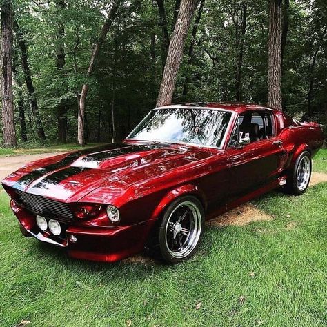 Auto Jeep, Mobil Mustang, Shelby Mustang Gt500, Shelby Gt 500, Gt 500, Vintage Jeep, Mustang Gt500, Shelby Mustang, Auto Retro