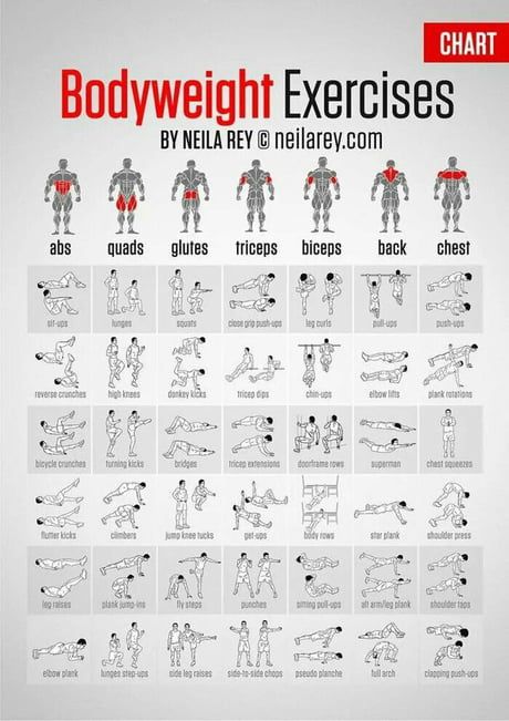 Any tips about those exercises? - 9GAG Bolesti Chrbta, Core Strengthening Exercises, Muscle Abdominal, Ab Routine, Bodyweight Exercises, Fitness Routines, Trening Fitness, Strengthen Core, Exercise Routines