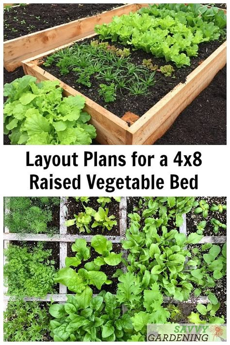 Not sure how many plants you can fit in a standard raised vegetable bed? These layout plans show you how to properly space plants for a great harvest. #vegetablegardening #gardening Raised Bed Vegetable Garden Layout, Planting Layout, Raised Bed Vegetable Garden, Raised Garden Beds Diy Vegetables, Garden Bed Layout, Vegetable Garden Layout, Raised Gardens, Garden Beds Diy, Raised Vegetable Gardens