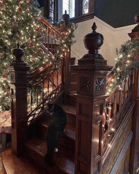 The Not So Modern Victorian (@notsomodernvictorian) • Instagram photos and videos Victorian Christmas Decor, Victorian Christmas Decorations, Rent House, Victorian Interior, Halloween Everyday, A Christmas Carol, Modern Victorian, Antique Interior, The Afterlife