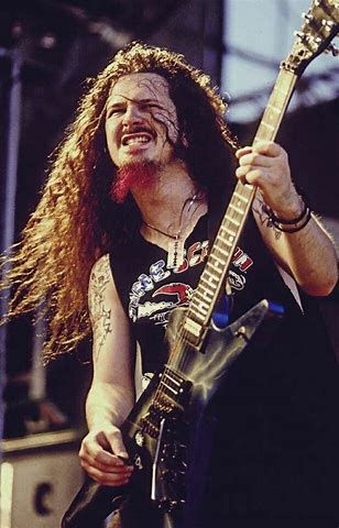 Dimebag Guitar, Dimebag Darrell Guitar, Dimebag Darrel, Rex Brown, Pantera Band, Vinnie Paul, Cowboys From Hell, Dimebag Darrell, Groove Metal