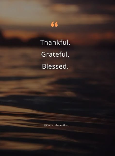 Blessed Morning Quotes Be Grateful, Grateful Happy Quotes, New Blessings Quotes Life, Blessing From God, Thank You For My Blessings Quotes, Booked Busy Blessed Quotes, Counting Quotes, Thankful Blessed Quotes, Blessed With Best Quotes