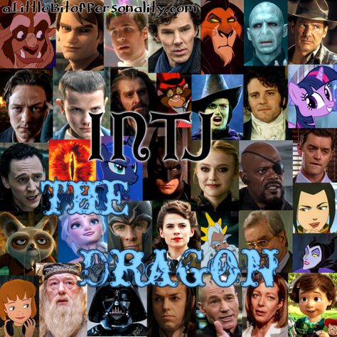 #INTJ - The Dragon | “I seek the means to fight injustice; to turn fear against those who prey upon the fearful.” - Bruce Wayne, Batman Begins | Type Heroes - A Little Bit of Personality Which Type Of Intj Are You, Intj Architect, Universal Principles, Intj Characters, Mbti Charts, Intj Women, Virgo Personality, Intj T, Intj And Infj