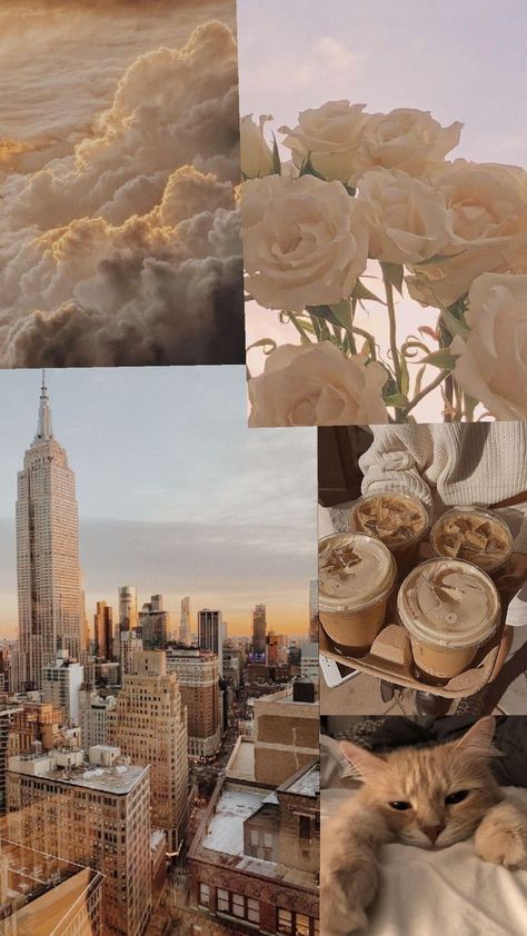 aesthetic wallpaper Cute Backgrounds Aesthetic Vintage, Cute Photos For Wallpaper, Cute Collages Wallpaper, 2012 Aesthetic Wallpaper, Baddie Asthetic Picture, White And Brown Aesthetic Wallpaper, Vanessa Core Aesthetic, Elegant Aesthetic Wallpaper, Asthmatic Wallpaper