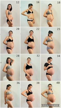 Pregnant Timeline Pictures, Pregnant Week By Week Pictures, How To Pose Pregnant, Bau Outfits, Pregnant Women Dress, Cute Outfits While Pregnant, How To Dress When Pregnant, Women Pregnancy Photos, Pregnant Look Outfits