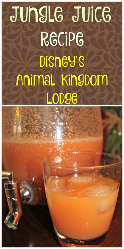 Jungle Juice - Favorite Beverage from Disney World's Animal Kingdom Lodge Pog Juice, Disneyland Recipes, Disney Copycat Recipes, Jungle Juice Recipe, Disney Inspired Recipes, Disney Dishes, Disney Inspired Food, Disney Animal Kingdom Lodge, Easy Juice Recipes