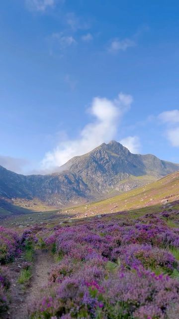 VisitScotland on Instagram: "Have you ever seen a bonnier Scottish view?! 😍💜 Vibrant purple heather can typically be found across Scotland from July to October, adding a beautiful hue to our stunning landscapes 🥰 📍 Glen Sannox, Isle of Arran 🎥 @11carrieb #GlenSannox #Arran #IsleOfArran #Scotland #VisitScotland #ScotlandIsCalling #VisitArran @visitarran" Arran Island Scotland, Scotland Highlands Photography, Isle Of Arran Scotland, Scotland Heather, Scotland Countryside, Scotland Scenery, Scottish Aesthetic, Pitlochry Scotland, Scottish Coastline