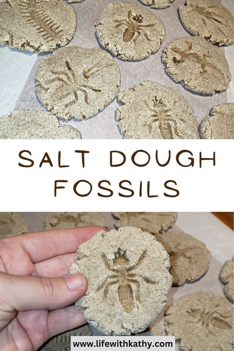 Archeology Classroom Theme, Archaeology Birthday Party, Archeology Activities For Kids, Indiana Jones Crafts, Indiana Jones Decorations, Indiana Jones Party Ideas, Indiana Jones Decor, Archaeology Party, Salt Dough Fossils