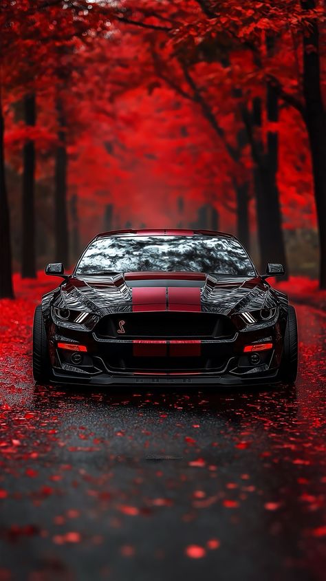 Ford Mustang Wallpaper, Car Iphone Wallpaper, Mustang Wallpaper, Sports Car Wallpaper, Ford Mustang Car, Car Backgrounds, Ford Mustang Shelby Gt500, Cool Car Pictures, Car Wallpaper