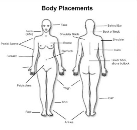 Body Placement Chart. Tattoo Chart, Places To Get Tattoos, Small Tattoo Placement, Inner Arm Tattoos, Create Your Avatar, Tattoos Pinterest, Inner Arm Tattoo, Clever Tattoos, Female Tattoo Artists