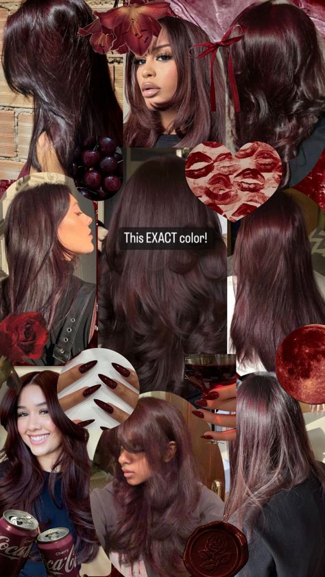 Colors That Look Good With Black Hair, Black Cherry Hair Color On Brown Skin, Red Tint In Brown Hair, Hair Color Idea For Dark Brown Hair, No Bleach Dark Hair Color, Red Hair Dye On Dark Brown Hair, Dark Cherry Brown Hair Curly, Red Box Dye On Black Hair, Dark Red Hair Brunettes