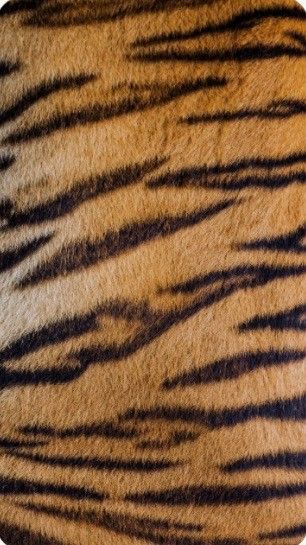 Tiger Print Aesthetic, Tiger Print Wallpaper, Safari Resort, Tiger Background, Animal Texture, Hulk Art, Tiger Skin, Animal Print Wallpaper, Nail Room