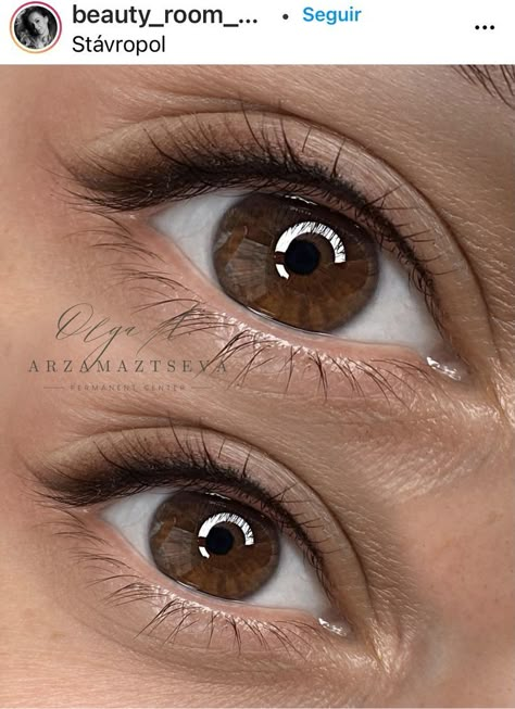 Permanent Eye Makeup, Permanent Eyeliner Styles, Eyeliner Permanent Makeup, Eyeliner Brown Eyes, Pmu Eyeliner, Mircoblading Eyebrows, Tattoo Eyeliner, Natural Fake Eyelashes, Permanent Makeup Eyeliner