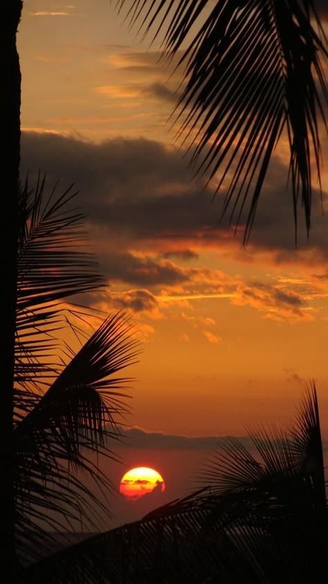 Wallpaper For Summer Iphone, Amazing Sunsets Photography, Hawaii Wallpaper, Nepal Photography, Street Landscape, Hawaii Sunset, Beach Sunset Wallpaper, Day Photography, Pretty Landscapes