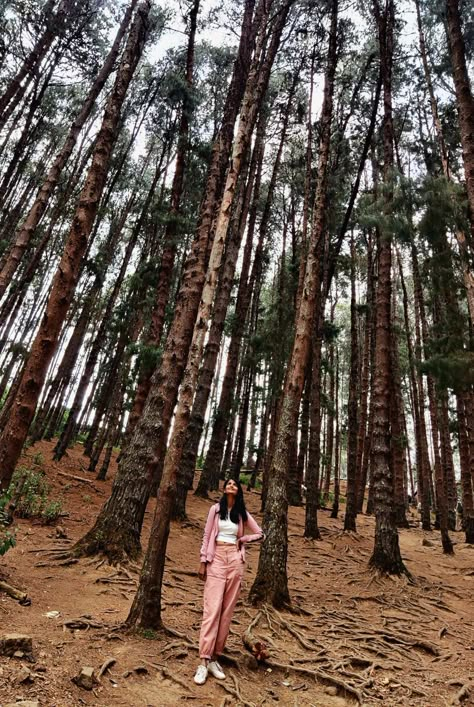 Ooty Travel | Women poses | Travel pose | In the woods | Travel Outfit | Prutha Shah #art #travel #stylehacks #diy #travelpose #womenoutfit #casualoutfit #travelwear #pinetrees #photography Araku Valley Photoshoot, Travel Pictures Poses Mountains, Trip Photo Poses, Ooty Photography Poses, Alleppey Photography Poses, Photo Pose In Forest, Kodaikanal Outfit Ideas, Hills Station Photography Poses, Photo Poses In Ooty