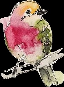 Flower Painting Tutorial, Bird Sketches, Bird Watercolor Art, Bird Watercolor Paintings, Watercolor Flowers Tutorial, Bird Watercolor, Watercolor Tutorial, Watercolor Paintings For Beginners, Diy Watercolor Painting