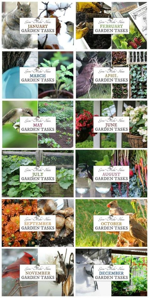 Gardening Month By Month, Gardening Calendar Uk, Garden Schedule Calendar, Garden Chores By Month, Monthly Gardening Checklist, Monthly Gardening Schedule, Starter Garden Vegetables, Garden Tasks By Month, Seattle Gardening Ideas