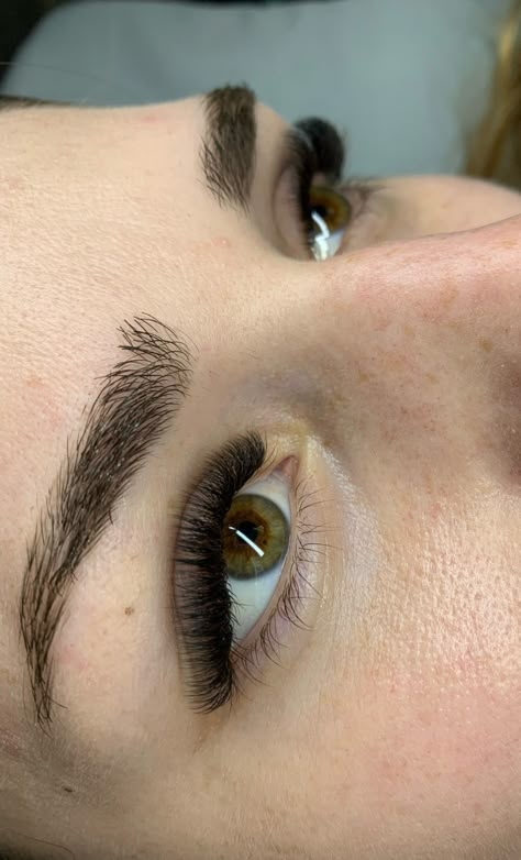 Short Volume Eyelash Extensions, Eyelash Extensions Short Volume, 11mm Lash Extensions, 8-12 Mm Lashes, Short D Curl Lash Extensions, Short Full Eyelash Extensions, Lashes Full Volume, Short Light Volume Lash Extensions, Eyelash Extensions Full Volume