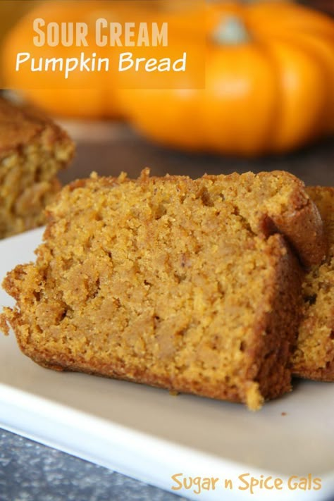 Sour Cream Pumpkin Bread - Sugar n' Spice Gals Cinnamon Pumpkin, Pumpkin Desserts, Pumpkin Recipes Dessert, Pumpkin Bread Recipe, Everything Pumpkin, Pumpkin Everything, Cinnamon Swirl, Bread Recipes Sweet, Chocolate Chip Muffins