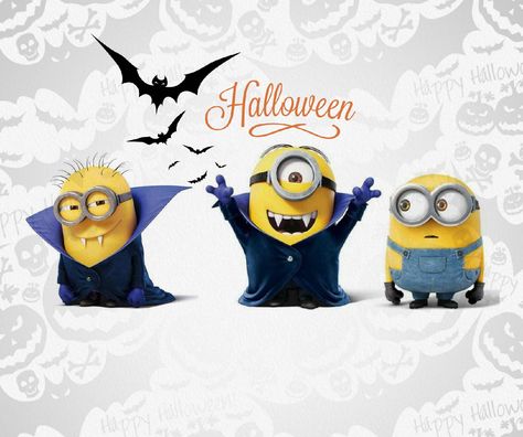 Halloween Minions, Minions Halloween, Minions Clips, Halloween Desktop Wallpaper, Minion Halloween, Happy Hallow, Funny Minion Pictures, October Art, Minions Love