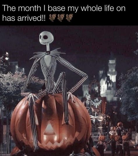 The 45 Funniest Halloween Memes, 2024 Edition Spooky Season Aesthetic Wallpaper, Halloween Esthetics, October Aesthetic Spooky, Funny Halloween Memes, Halloween Core, Halloween Widget, Halloween Pfps, Halloween Is Cool, Halloween Pfp