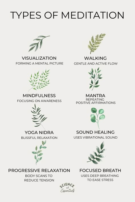 Meditation Symbols Spiritual, Type Of Meditation, Forms Of Meditation, Meditation Types, Meditation Words, Nervus Vagus, Different Types Of Meditation, Benefits Of Meditation, Types Of Meditation