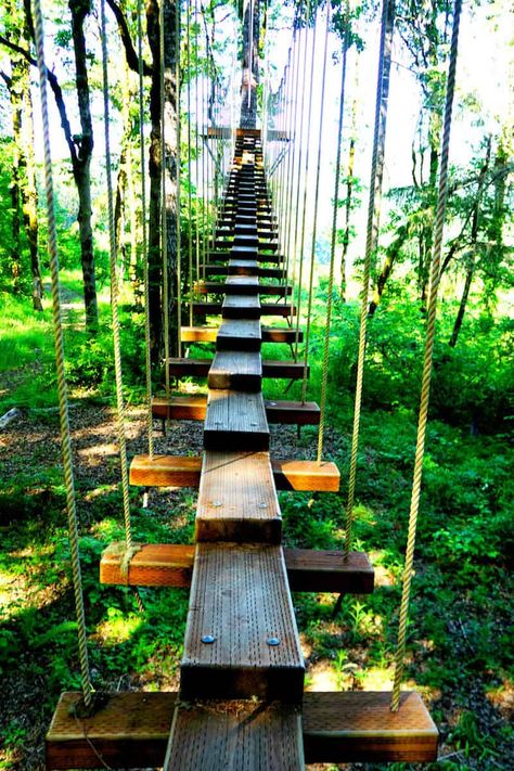 Tree Zipline, Bungee Jump, Activities For All Ages, Building A Treehouse, Tualatin Oregon, Tree House Plans, Tree House Diy, Tree House Designs, Hillside Landscaping