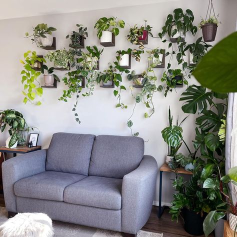 Room with plants