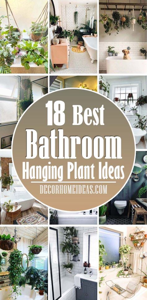 Best Hanging Plant Ideas For Bathroom. Bathroom plants are such a simple and affordable way to update your bathroom, whether it’s a single trailing plant on the windowsill or a full green plant wall. #decorhomeideas Bathroom Plants Hanging, Hanging Plant Ideas, Bathroom Plants Decor, Best Bathroom Plants, Plant Ladder, Indoor Plant Wall, Window Plants, Room Vibes, Hanging Plant Wall