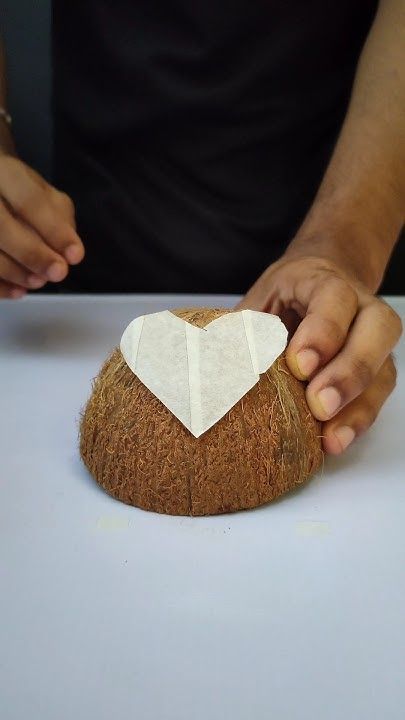 Diy Coconut Shell Crafts Ideas, Coconut Shell Crafts Diy, Coconut Shell Art, Coconut Decoration, Shell Diy, Coconut Shell Crafts, Diy Coconut, Bottle Gourd, Shells Diy