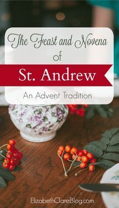 Saint Andrew Christmas Novena, Catholic Christmas Traditions, Catholic Advent, Advent Catholic, Catholic Feast Days, Catholic Holidays, Liturgical Living, Saint Feast Days, Saint Andrew