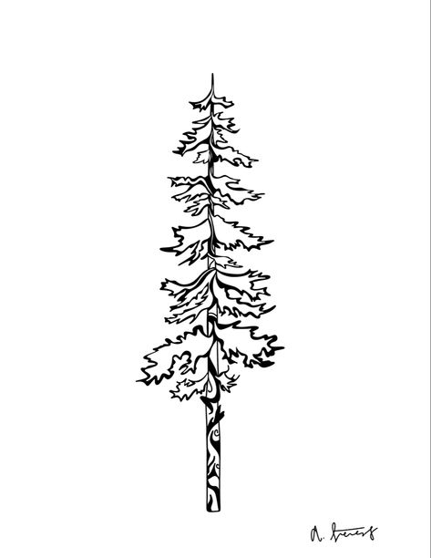 Tree tattoo Linework Tree Tattoo, American Traditional Tree Tattoo, Tree Tattoo Linework, Redwood Tree Drawing, Traditional Tree Tattoo, Sycamore Tree Tattoo, Redwood Tree Tattoo, Redwood Tattoo, Evergreen Tree Tattoo