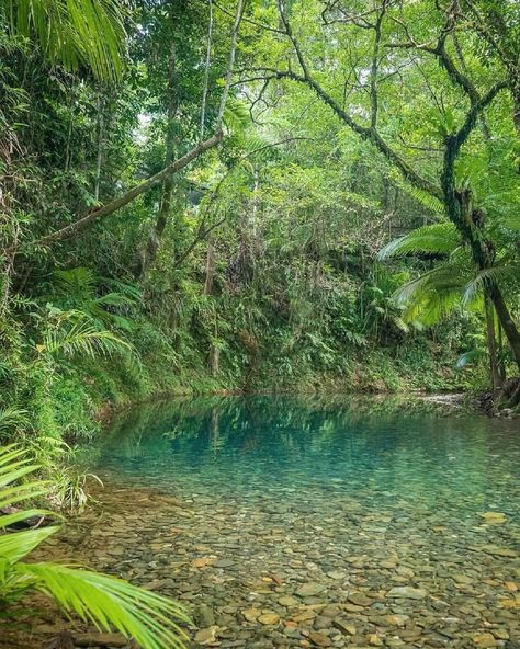 Pool Resort, Australian Photography, Australian Road Trip, Daintree Rainforest, Swimming Hole, Port Douglas, Outback Australia, Australian Travel, Natural Pool