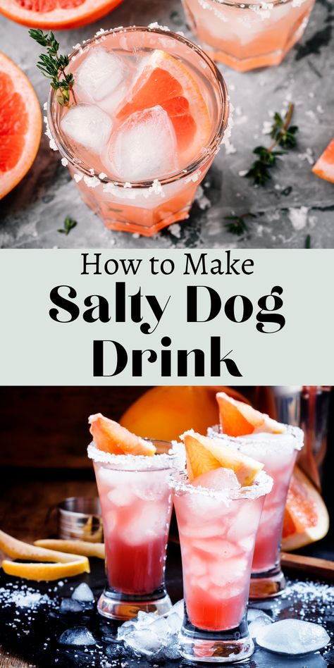 The Salty Dog drink is closely related to the Greyhound, with the only difference being the salty rim that pulls the various ingredients together. Making use of only two main ingredients, this drink is very simple to make and can be created with either vodka or gin Salty Dog Drink, Salty Dog Cocktail Recipe, Grapefruit Gin Cocktail, Salty Dog Cocktail, Dog Cocktail, Hendricks Gin, Unique Drink, Salty Dog, Vodka Drinks