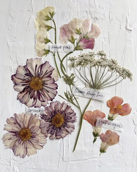 Flower Journal, Flower Pressing, Flower Press, Loving Heart, Summer Bouquet, Pressed Flower Art, Nature Journal, Instagram Summer, Edible Flowers