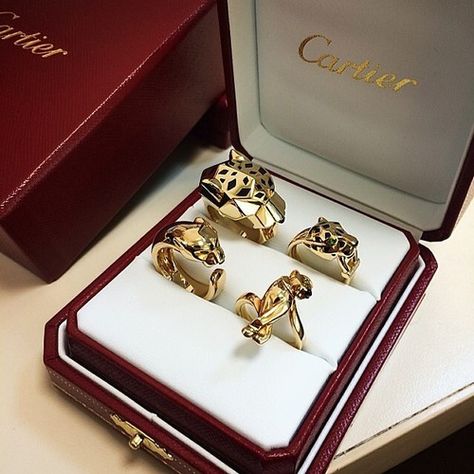 cartier Cartier Panthere Ring, Cartier Jwelery, Cartier Panther Ring, Panthere Cartier, Cartier Panther, Panther Jewelry, Panther Ring, Cartier Panthere, Cartier Jewelry