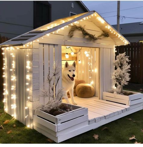 Dog Kennel Ideas Outdoor, Dog Kennel Ideas, Kennel Ideas Outdoor, Pallet Dog House, Dog Backyard, Dog Room Decor, Pets Supplies, Dog Bedroom, Outdoor Improvements