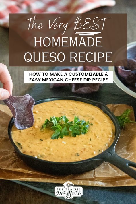 Mexican Cheese Dip Recipes, Homemade Queso Recipe, Queso Recipe Easy, Best Queso Recipe, Homemade Cheese Dip, Mexican Cheese Dip, White Queso Recipe, Queso Cheese Dip, Homemade Queso