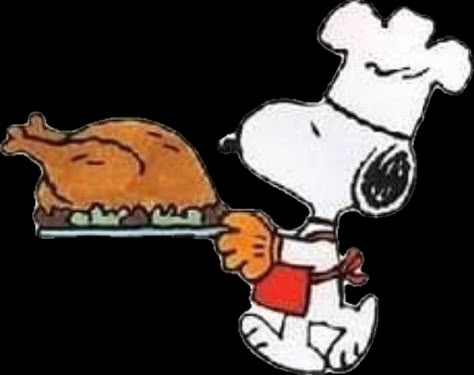 Happy Thanksgiving Memes, Snoopy Thanksgiving, Thanksgiving Snoopy, Happy Thanksgiving Wallpaper, Peanuts Thanksgiving, Vikings Art, Thanksgiving Drawings, Peanuts Quotes, Charlie Brown Thanksgiving