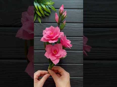 Diy Decoration Ideas, Paper Flower Diy, Crepe Paper Crafts, Crepe Paper Flower, Flower Diy, Amazing Diy, Diy Decoration, Paper Flowers Diy, Crepe Paper