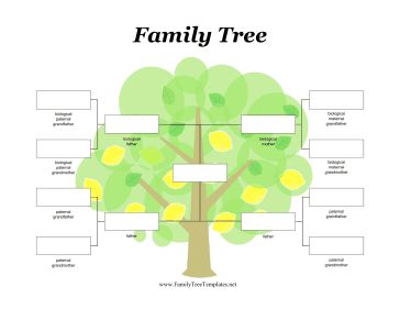 family tree diagram template for kids - Yahoo Search Results | Adoptive ...