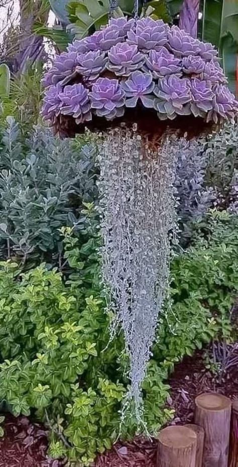 Portable Camping Shower, Snake Plant Care, Side Yard Landscaping, Rope Decor, Rock Garden Design, Vegetable Garden Diy, Plant Care Houseplant, Hanging Flower Baskets, Summer Mantle Decor