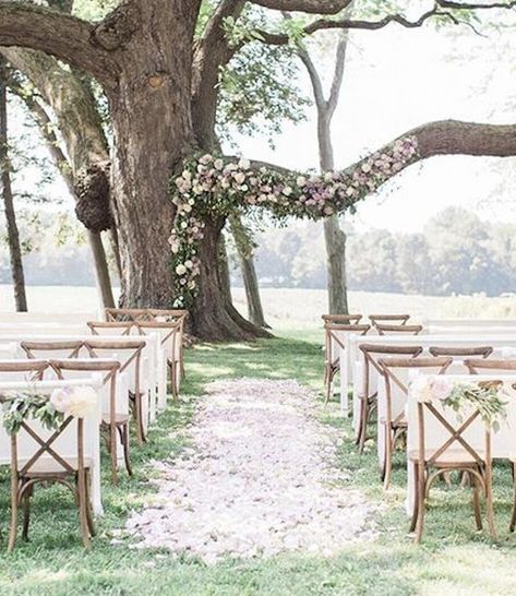 Oak Tree Wedding, Funny Vine, Outdoor Wedding Ideas, Courtyard Wedding, Rustic Wedding Decorations, Wedding Ceremony Ideas, Wedding Ceremony Arch, Floral Wedding Decorations, Ceremony Arch