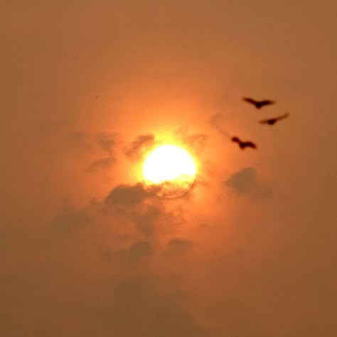 Red sun phenomenon 'caused by Saharan dust', analysis shows - BBC News Goddess Of Sun, Star Cloud, Red Sun, Generate Leads, Moon Star, The Goddess, Sun Moon, Free Online, Solar