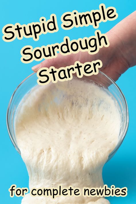 How To Make Sourdough Starter With Yeast, Sourdough Beginner, Quick Sourdough Starter Recipe, Sourdough Starter And Bread Recipe, How To Make Sourdough Bread Easy, Sour Dough Starter Easy Recipe, What Do I Do With Sour Dough Starter, 1 Day Sourdough Starter, How To Make A Bread Starter