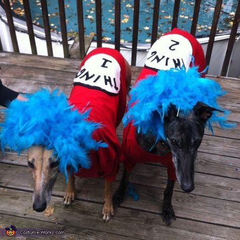 Monica: This is a picture of our two greyhounds; Cupcake (on the left) and Bucky (on the right) dressed as Thing 1 and Thing 2 from Dr. Seuss's Cat in the... Thing 2 Costume, 2 Halloween Costumes, Best Dog Costumes, 2015 Halloween Costumes, Dogs Halloween, Thing 1 And Thing 2, Thing One, Diy Dog Costumes, Homemade Costume